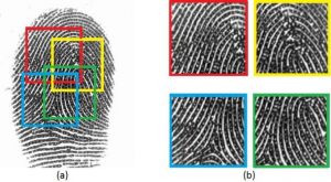Fingerprint Sensor_1