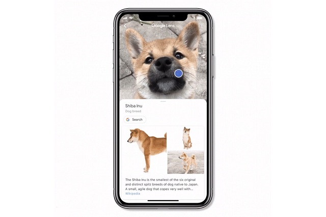How to Use Google Lens on iPhone and iPad 