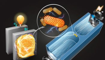 Technique Identifies New Electricity Producing Bacteria