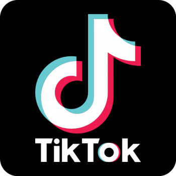 A Guide for Every TikTok User